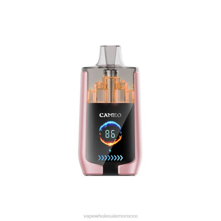 E Cig Wholesale Distributors - الفاكهة الاستوائية LAVIE CAMEO 30000 نفث HVJH19