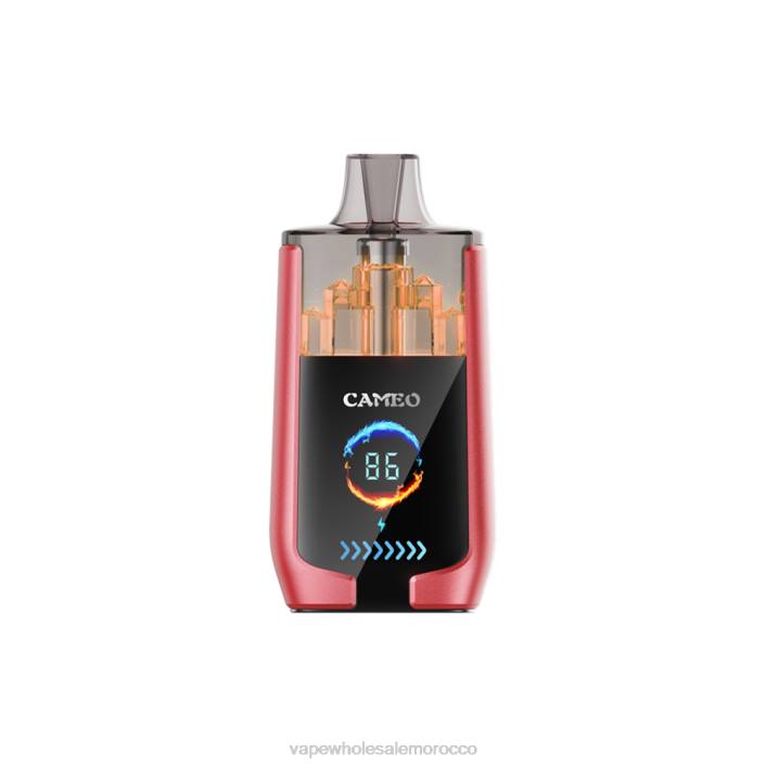 Morocco Vape Wholesale - ثلج البطيخ LAVIE CAMEO 30000 نفث HVJH14