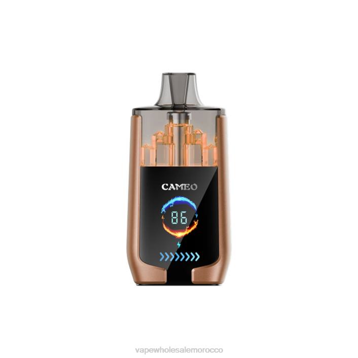 Vape Wholesale Supplier - ثلج القهوة LAVIE CAMEO 30000 نفث HVJH18