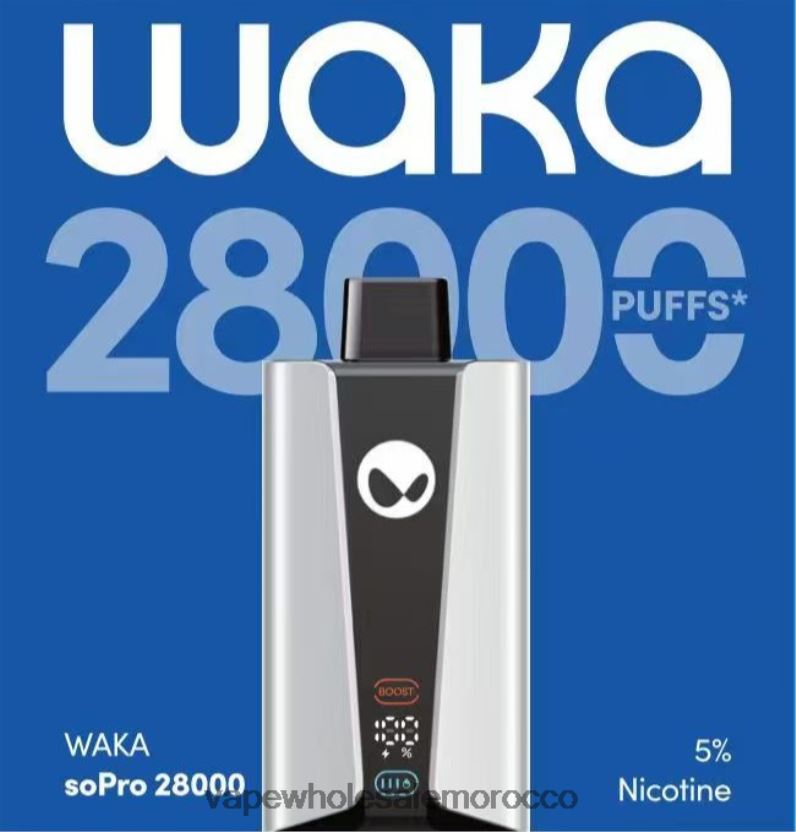 Vape Price Morocco - نكهة متعددة RELX WAKA SoPro 28000 2L224831