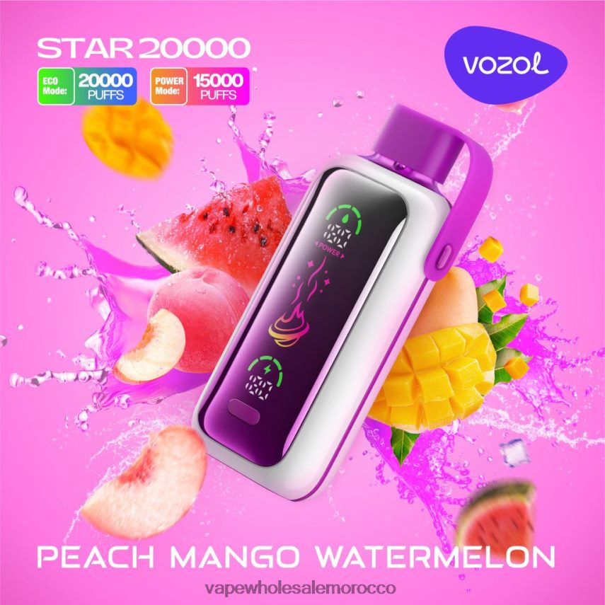 E Cigarette Morocco - الخوخ والمانجو والبطيخ VOZOL STAR 20000 2DF20T16