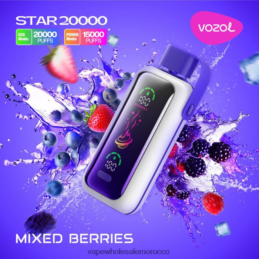 Lets Vape Morocco - التوت المختلط VOZOL STAR 20000 2DF20T14