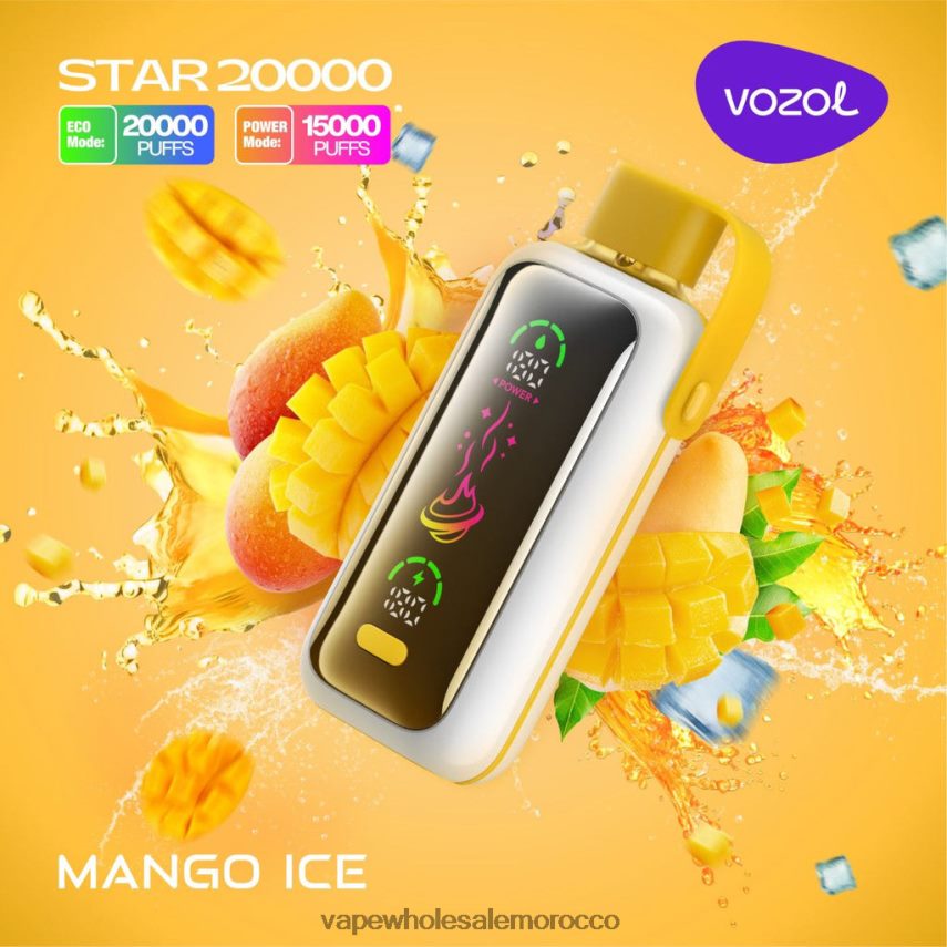 Vape Price Morocco - جليد المانجو VOZOL STAR 20000 2DF20T13