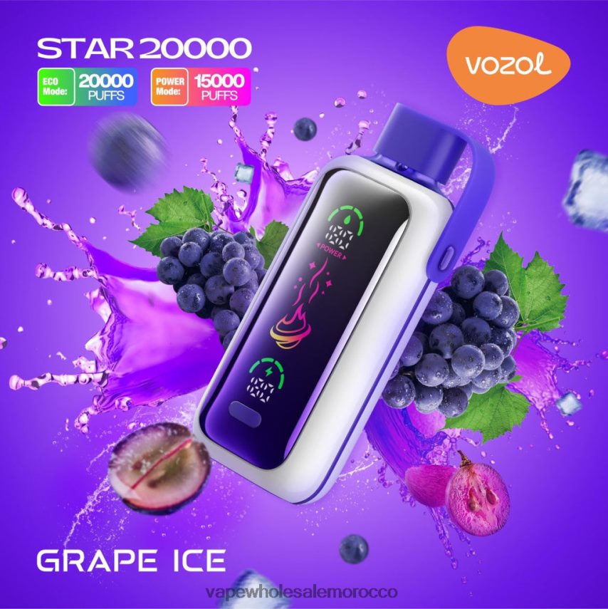 Vape Wholesale Morocco - جليد العنب VOZOL STAR 20000 2DF20T9