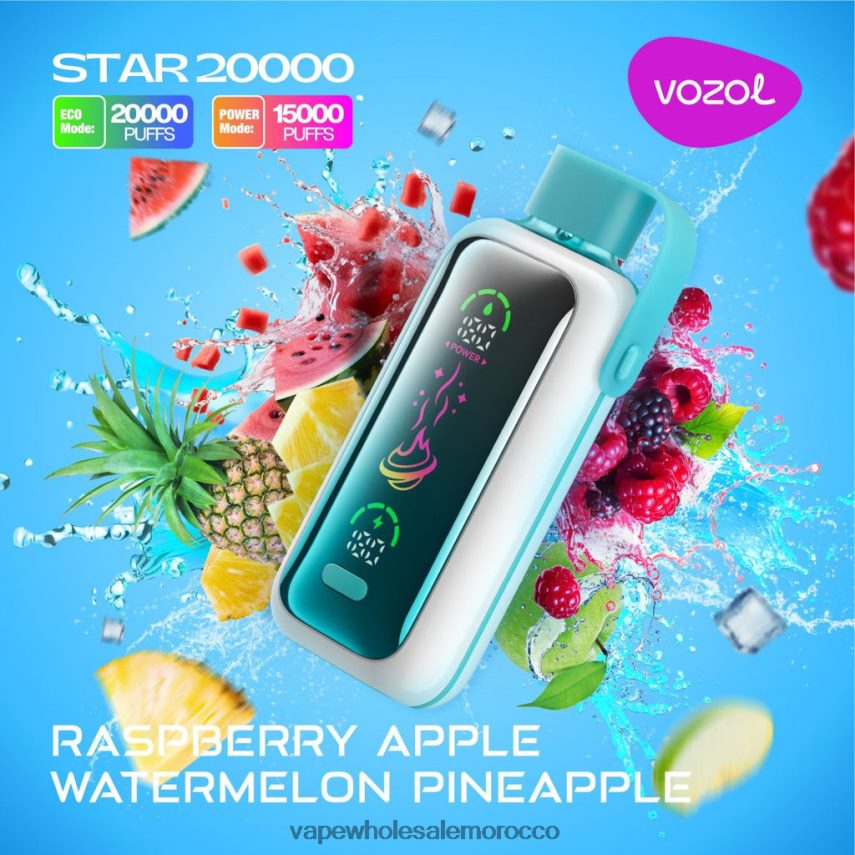 Vape Wholesale - توت تفاح بطيخ أناناس VOZOL STAR 20000 2DF20T18