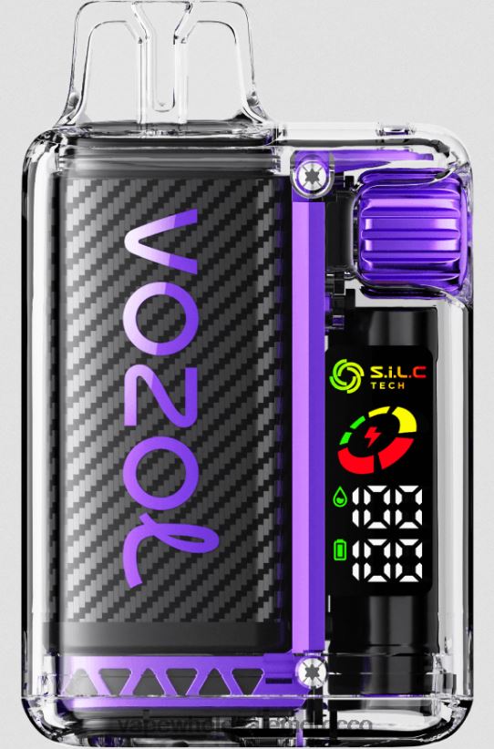 Vape Wholesale Morocco - مانجو الفراولة R840F29 VOZOL VISTA 16000/20000 5%